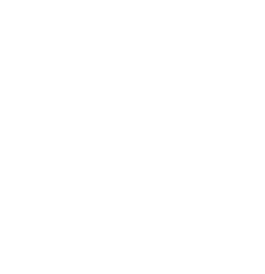 Renuo Logo